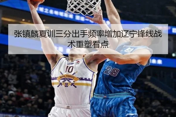张镇麟夏训三分出手频率增加辽宁锋线战术重塑看点